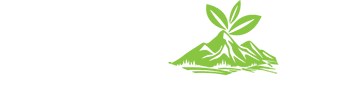 Yethai Tea