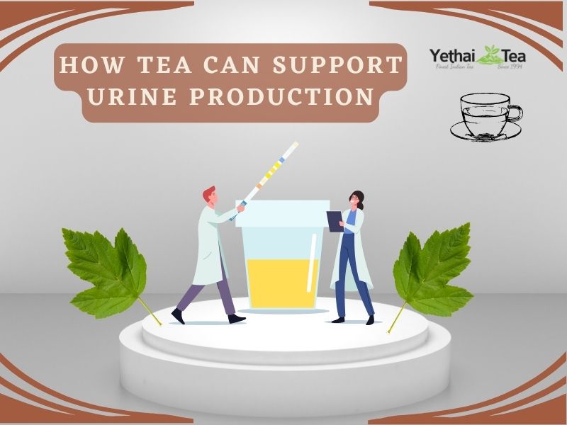 How Tea Can Help Support Urine Production