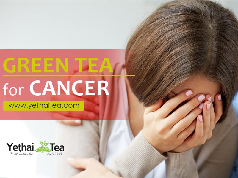 Green Tea Fights Cancer