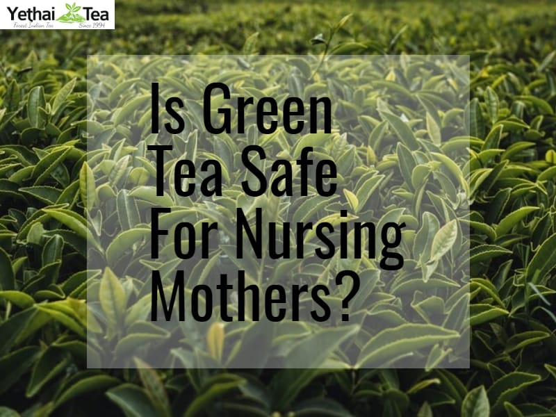 Is Green Tea Safe For Nursing Mothers?