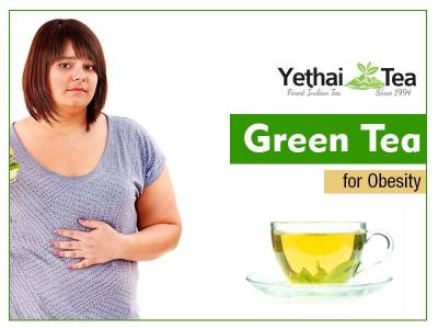 Green Tea Fights Obesity