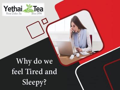 Why do we feel Tired and Sleepy?